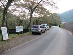 桜森林公園の駐車スペース