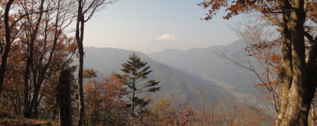 鳥ノ胸山頂からの富士
