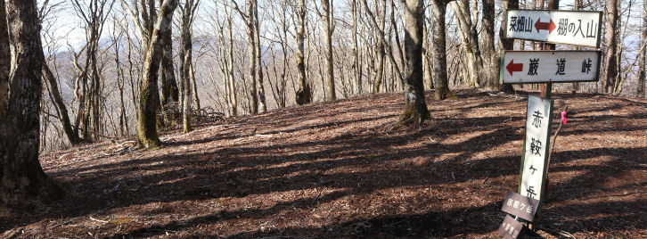 赤鞍ヶ岳(朝日山)山頂