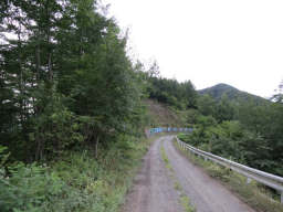 登山口から林道を進む