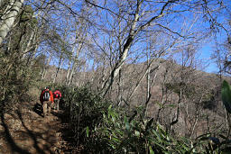 広い登山道を進む