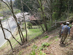 東尾根を下る