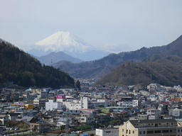 さっそく富士の姿