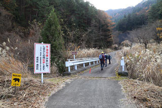 林道を上っていく