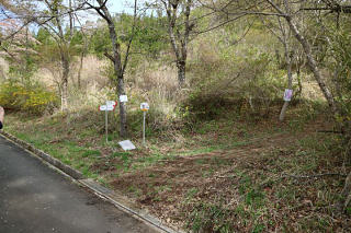 ここから山道