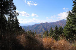 奈良倉山からの富士