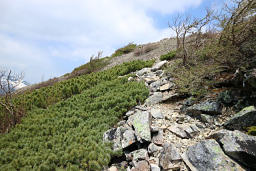 北峰に移動する