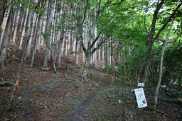 いよいよ長い登りが始まる