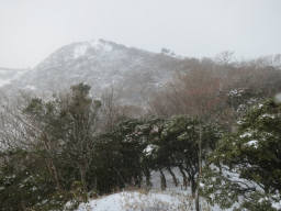 山頂はまだ遠い