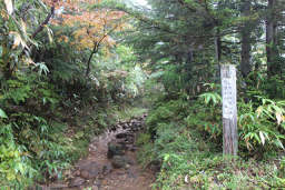 初めての道標でひとまず安心