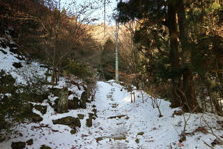 さっそく雪が現れる