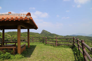 展望台からの野底岳