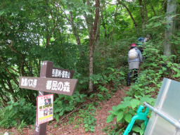 橋を渡ると左に登山口